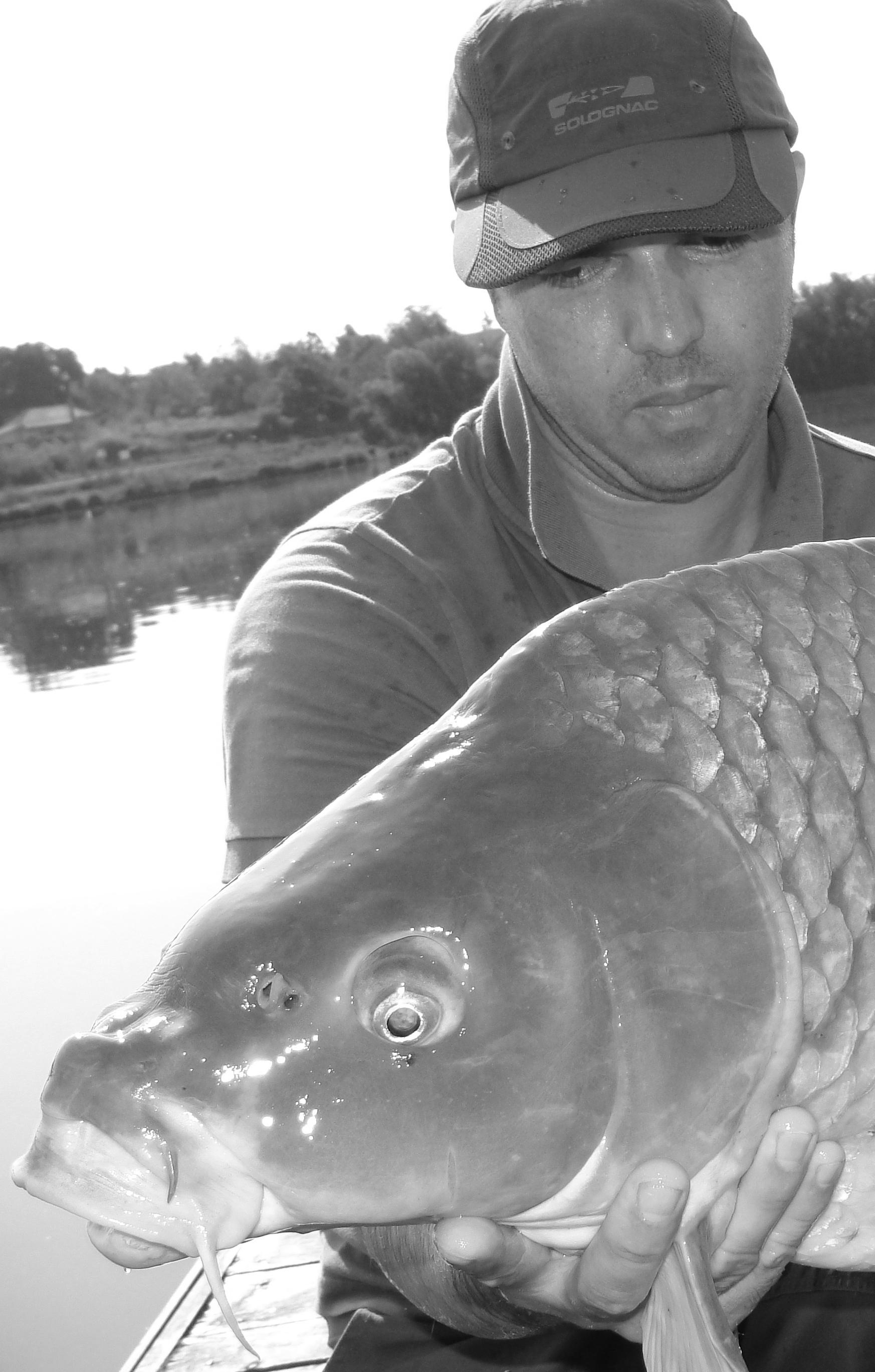 Moara Vlasiei 2 23 - 24 iun. - dsc00781.JPG